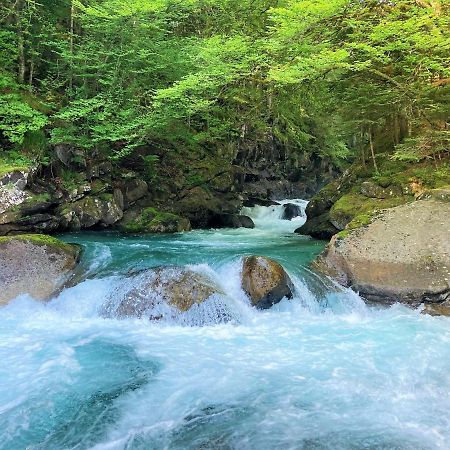 Grand T2 4 Voyageurs Tout Confort Cauterets Bagian luar foto